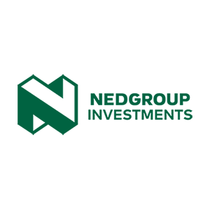 nedgroup Investments logo